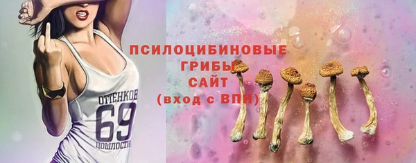 тгк Верея