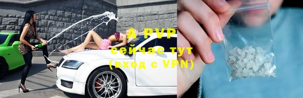 тгк Верея