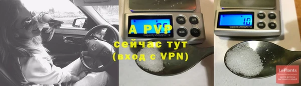 тгк Верея