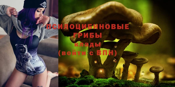 тгк Верея