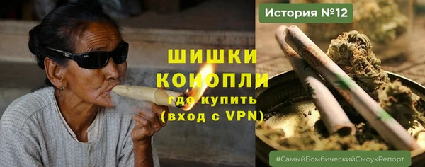 сатива Волосово